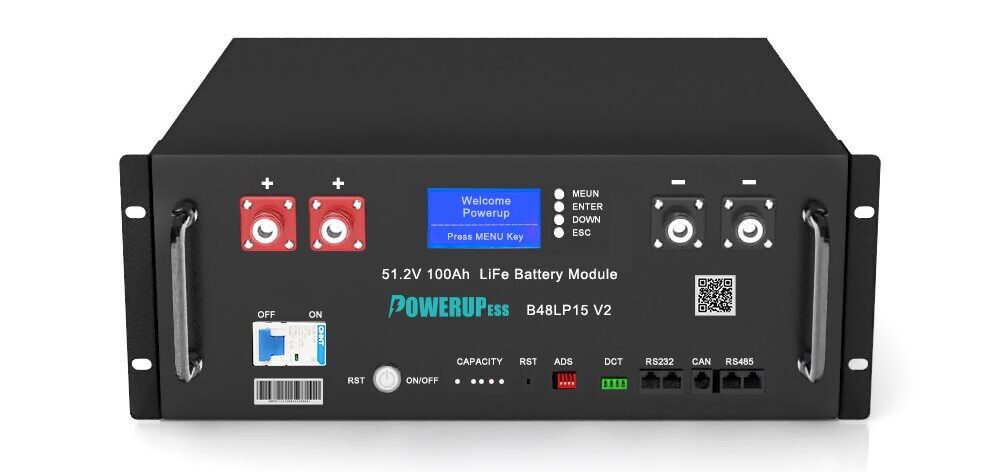 51.2V Lithium Iron Phosphate 100Ah 48v 4 U rack mounted battery